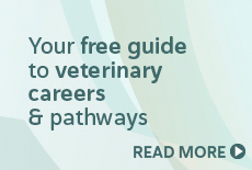 Veterinary Pathways